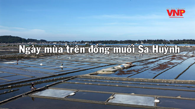 Ngày mùa trên đồng muối Sa Huỳnh