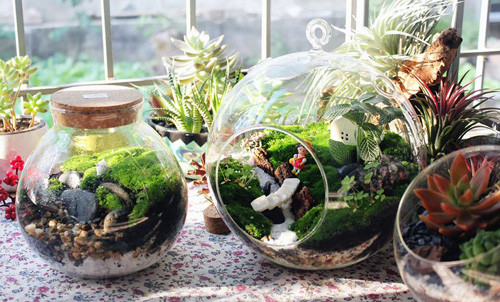 Thời gian tới Kiều Oanh sẽ cho ra mắt một số tác phẩm thanh lọc không khí thân thiện môi trường.