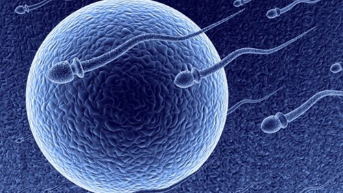  Ảnh minh họa. Theo Foxnews.