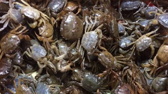 Ăn phải cua đồng chết rất nguy hiểm (ảnh minh họa)