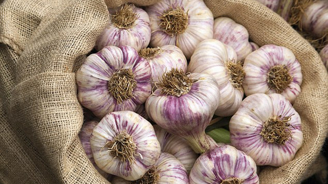 Ăn tỏi giúp chống lão hóa, ngăn ngừa các bênh thần kinh liên quan đến tuổi tác như Alzheimer và Parkinson. 