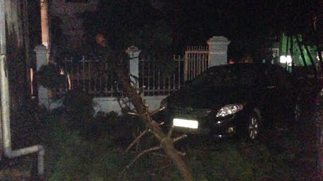 Cây đổ đè vào ô tô.