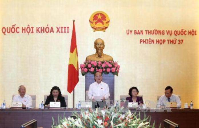 Đề nghị không quy định cứng số lượng cấp phó