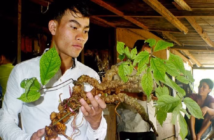 Xuất hiện nhiều tỷ phú 'trăm tỷ' ở Quảng Nam
