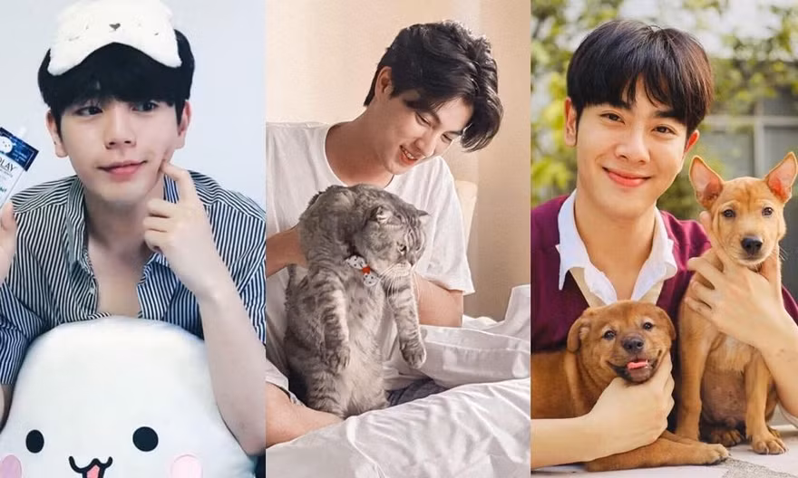 Up, Mix và Gulf - những chàng “soft boy” xứ Chùa Vàng thuộc hội “cưng chiều em, sao nhỏ”