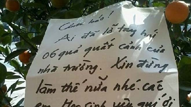 Nhà trường 'cấm hái quất' khiến học sinh phì cười