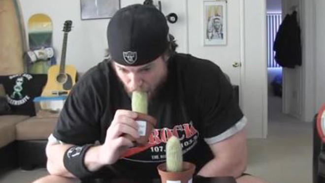  LA Beast bắt đầu ăn cây xương đầy gai góc