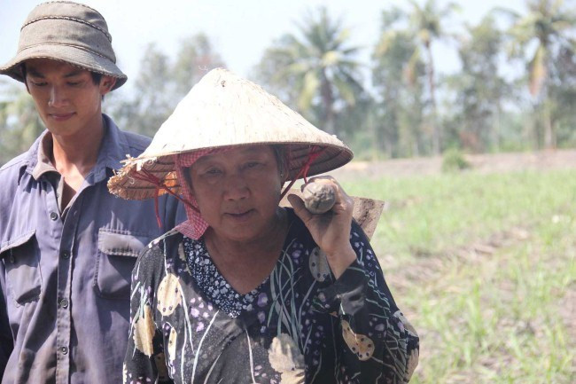 Bà Ngô Thị Mỹ (60 tuổi) tán gia bại sản vì cây mía và giờ vẫn phải đi làm thuê kiếm sống cùng con trai Lê Hồ Đăng Duy