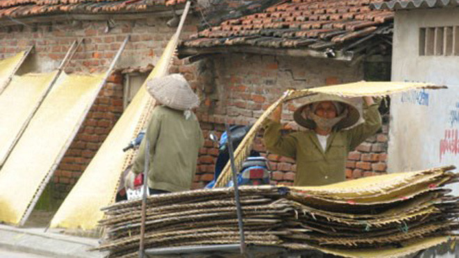 Càng gần Tết, người sản xuất miến Tết càng bận rộn với nghề