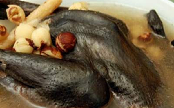 Món ăn chữa 'bệnh khó nói' của quý ông