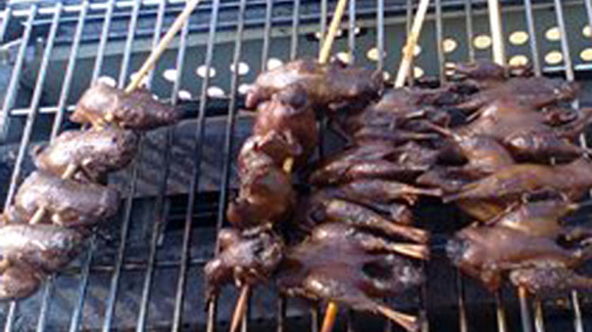 Vịt thải loại được tẩm gia vị nướng thơm phức đội lốt chim sẻ