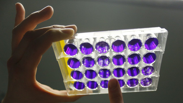 (Ảnh minh họa: Reuters)