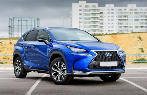 Hiện xe nhập khẩu từ Nhật vào Việt Nam chủ yếu là Lexus, Subaru cùng một số mẫu lẻ của Toyota.