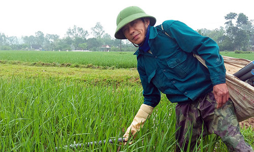 Tuyệt kỹ dụ lươn của 'thợ săn' Hà Tĩnh