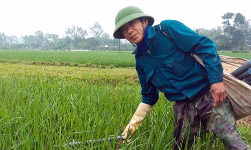 Tuyệt kỹ dụ lươn của 'thợ săn' Hà Tĩnh