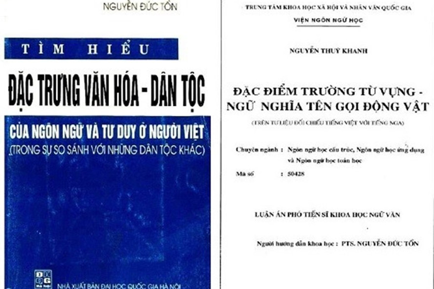 Xôn xao đạo văn vẫn được phong giáo sư