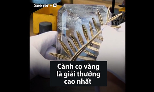 Quy trình sản xuất Cành cọ vàng Cannes