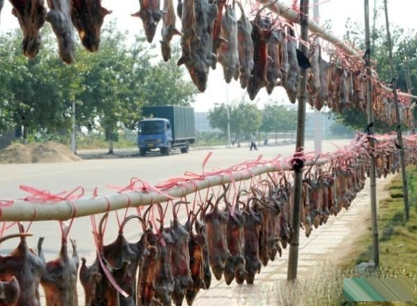 Khô chuột với cách sơ chế khá cầu kỳ