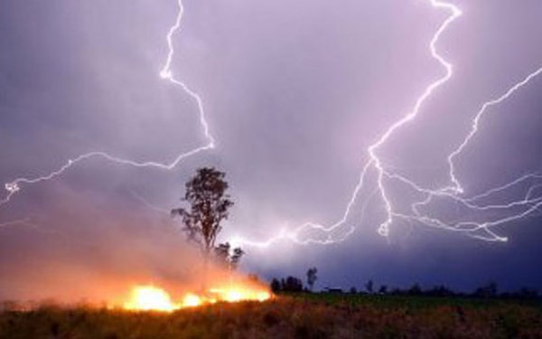 Ảnh minh hoạ: Internet