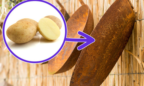 Tác dụng bất ngờ ít ai biết của khoai tây