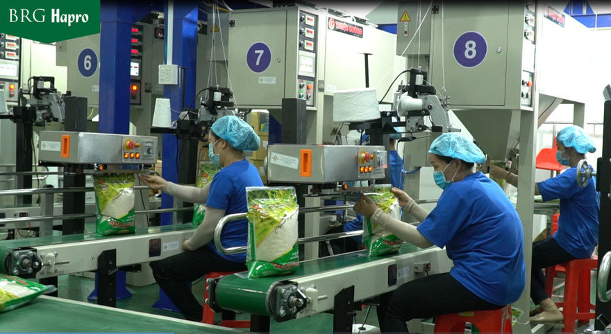 Hapro luôn chủ động tạo nguồn hàng cho hoạt động xuất khẩu nhiều năm qua