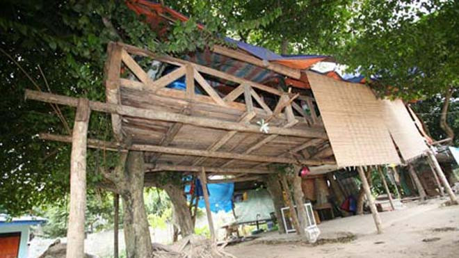 “Tư gia” của Giang cách mặt đất gần 3m.