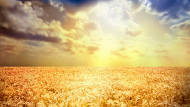 Đột phá y học: Xét nghiệm ung thư bằng ánh mặt trời