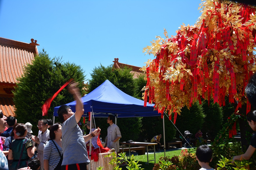 Đi lễ đầu năm ở xứ sở chuột túi