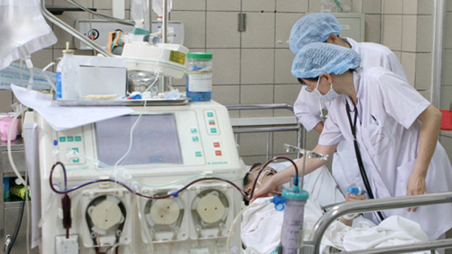 Ngộ độc mật cá trắm có thể gây nguy hiểm tính mạng - Ảnh: Ngọc Thắng