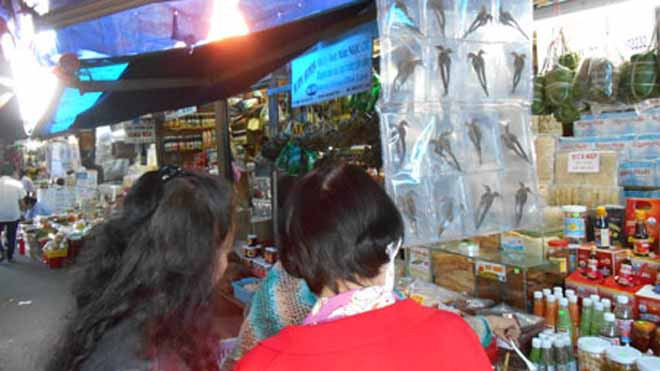 Năm Giáp Ngọ 2014 này là năm loài ngựa cầm tinh nên các món ăn chơi liên quan đến loài này cũng được bá tánh "chiếu cố" rầm rộ. Săn các mẻ cao ngựa được quảng cáo ầm ĩ giữa đời thực và trên các trang mạng ảo chưa đã, nhiều người còn tích cực săn cá ngựa h