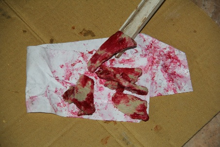 Bước đầu xác định nguyên nhân của hiện tượng thịt heo chín xuất hiện màu đỏ máu là do nấm hoặc vi khuẩn gây ra