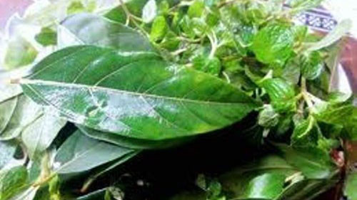 13 loại rau thơm chữa bệnh tốt