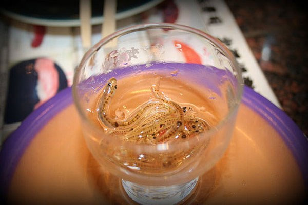 Ăn cá sống ngoe nguẩy trong miệng kiểu Nhật