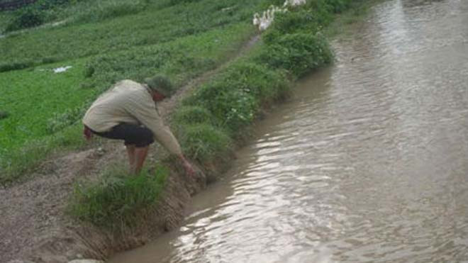 Mương nước thả vịt, nơi phát hiện xác 2 thai nhi.