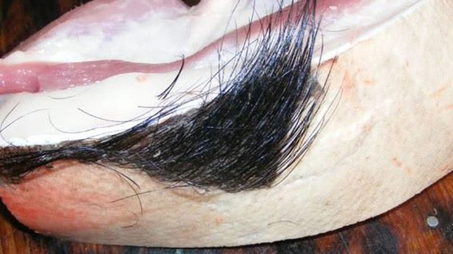 Bán thịt lợn vẫn còn nguyên lông đen xì đang trở thành mốt cửa các cửa hàng thực phẩm sạch