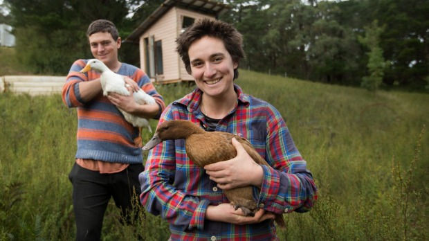 Cặp vợ chồng Úc trải nghiệm cuộc sống không tiền