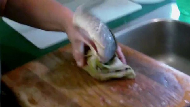 Cá bị chặt đầu, moi ruột vẫn 'giãy đành đạch' trên thớt