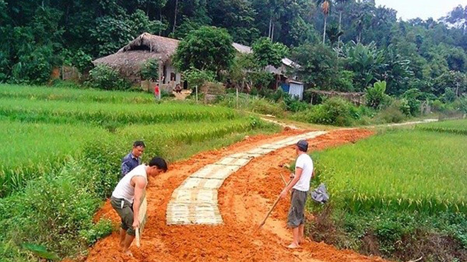 Độc đáo đường “bê tông tre” đưa học sinh đến trường