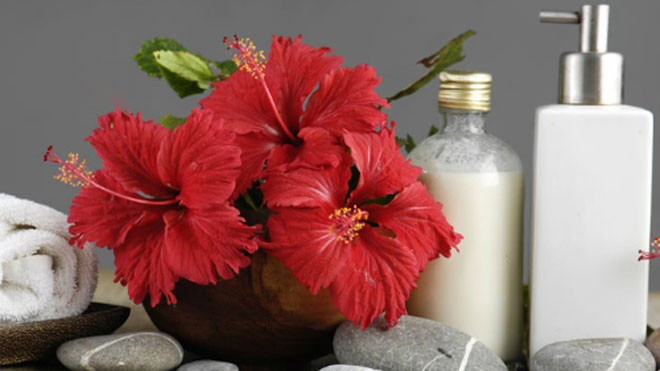 Hoa dâm bụt được sử dụng làm đẹp tóc rất hiệu quả. Ảnh: Stylecraze.