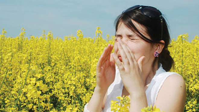Mùa xuân, cẩn thận dị ứng với phấn hoa và côn trùng