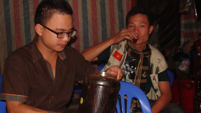 Với những lời đồn thổi về công dụng, rượu ngâm cây thuốc phiện được khá nhiều người tìm mua mà không lường đến hậu quả.