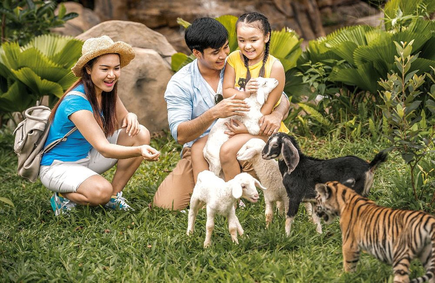 Các công tác giáo dục công chúng về tầm quan trọng của chăm sóc và bảo tồn động vật hoang dã luôn được chú trọng tại Vinpearl Safari