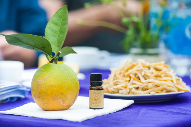 Sản phẩm của Cam Vinh Kỳ Yến