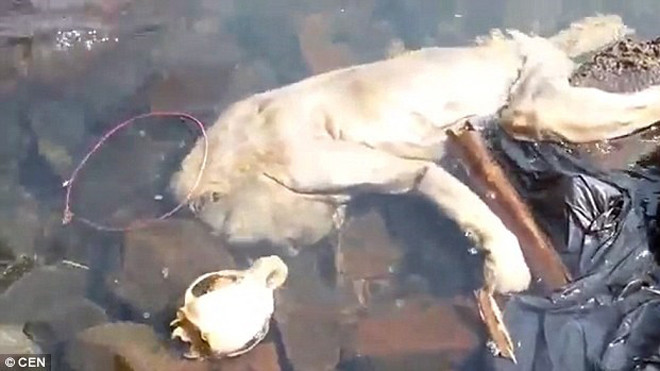 Cái xác bí ẩn dạt vào dòng suối ở Carmen del Parana. (Nguồn: CEN)