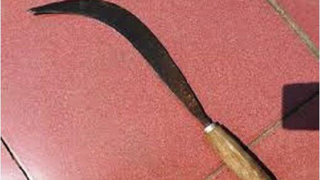 Vừa ra tù đã cầm liềm truy sát bí thư xã