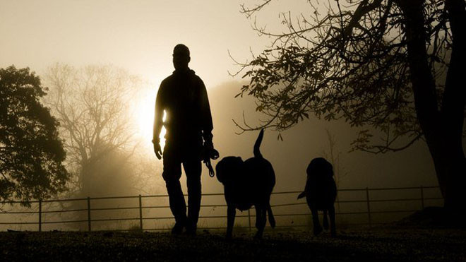 Tuyển cử nhân dắt chó gây phẫn nộ dư luận