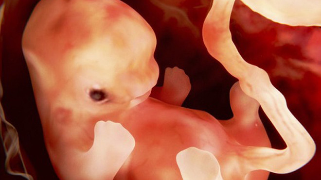 Ảnh minh họa: Tencent News.