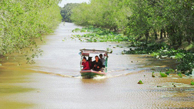 Thuyền chạy bằng năng lượng mặt trời được đưa vào sử dụng tại khu du lịch Tràm Chim (Đồng Tháp). Ảnh: NVCC.