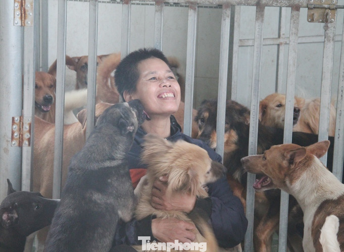 Người phụ nữ dành cả tuổi thanh xuân đi giải cứu thú cưng 