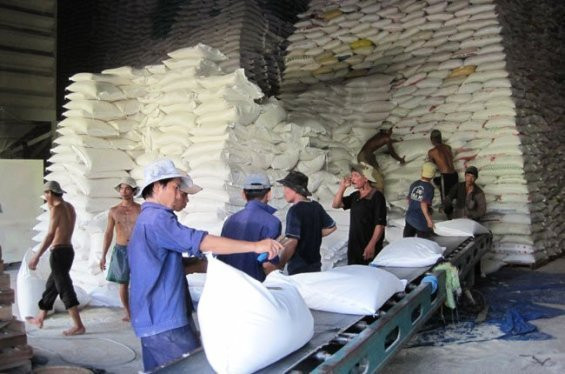 Giá gạo xuất khẩu giảm làm nhóm hàng nông sản bị giảm khoảng 160 triệu đô la trong quí 1. Ảnh TL SGT